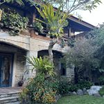 The Beauty of Epiphytes: Orchids in Bali’s Landscape Gardening