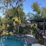The Beauty of Epiphytes: Orchids in Bali’s Landscape Gardening